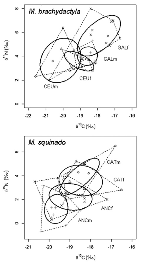 sm4236fig3.jpg