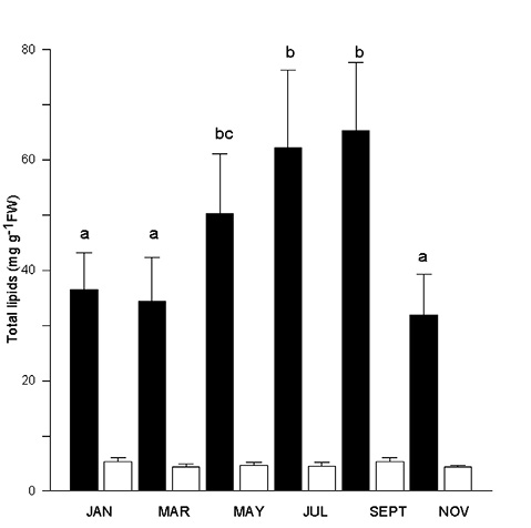 sm4267fig2.jpg