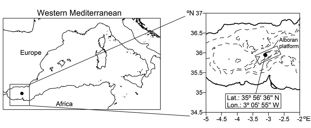 sm4340fig1.jpg