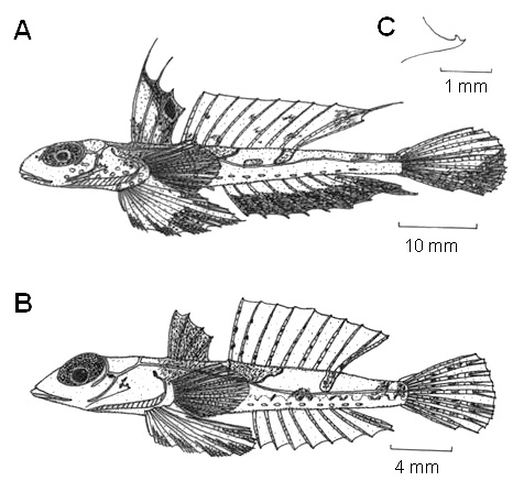 sm4340fig2.jpg