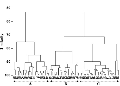sm4332fig6.jpg
