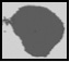 table4figF.jpg