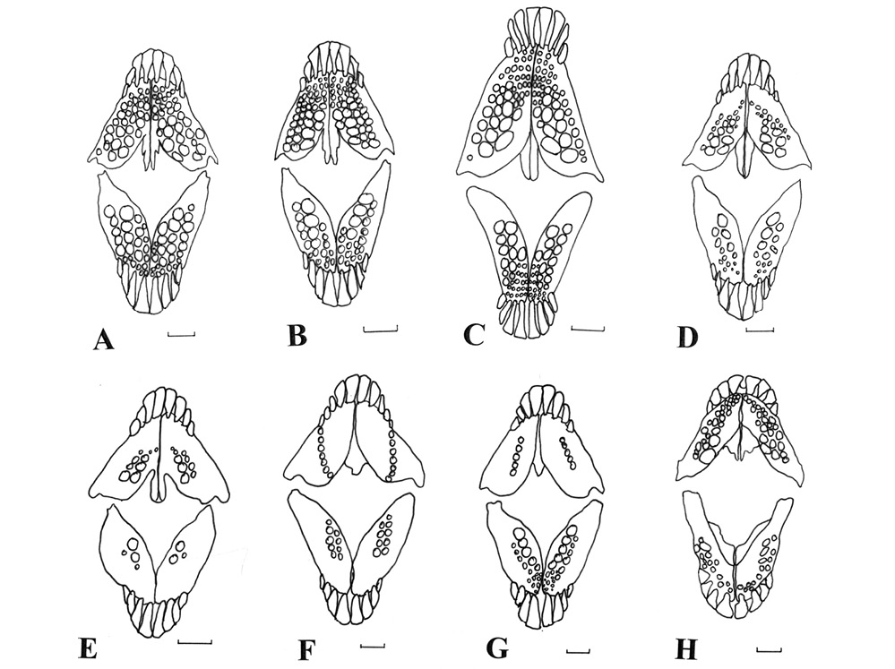sm4414fig6.jpg
