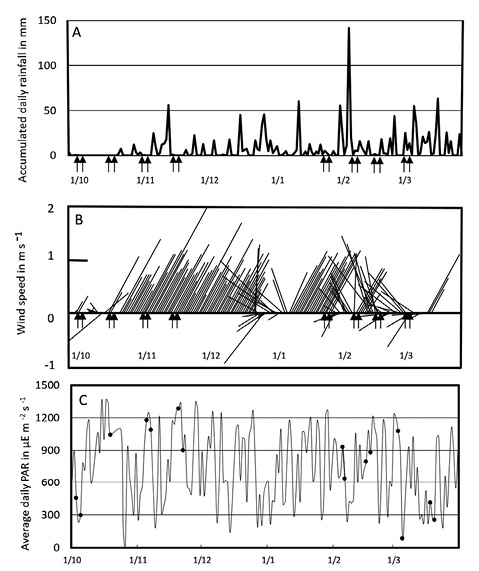 sm4358fig2.jpg