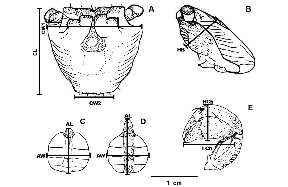 sm4427fig2.jpg