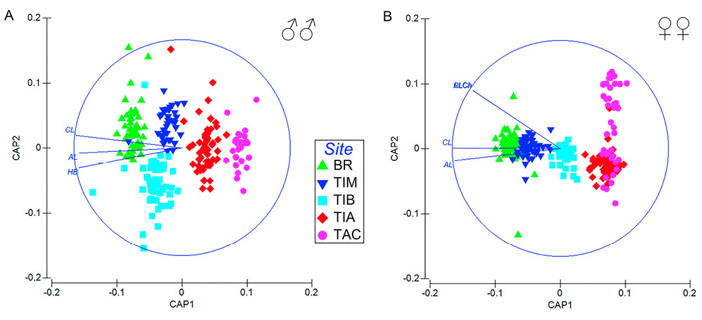 sm4427fig4.jpg