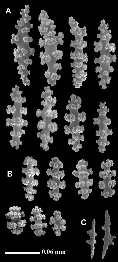 sm4392fig3.jpg