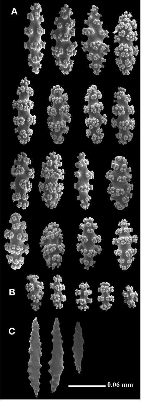 sm4392fig5.jpg