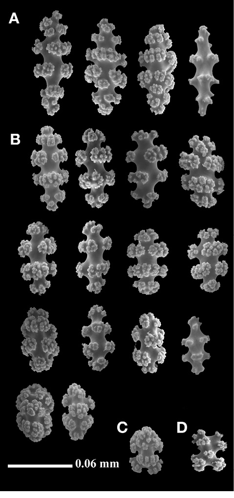 sm4392fig7.jpg