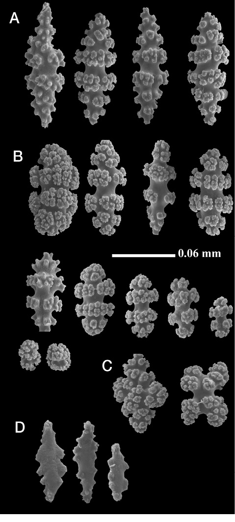 sm4392fig9.jpg