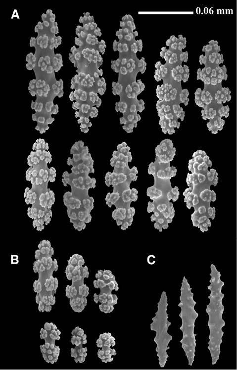 sm4392fig13.jpg