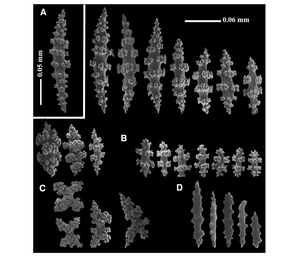 sm4392fig17.jpg