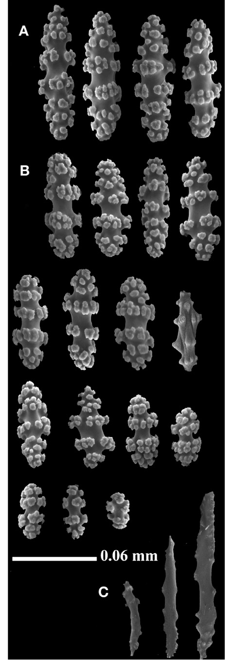 sm4392fig20.jpg