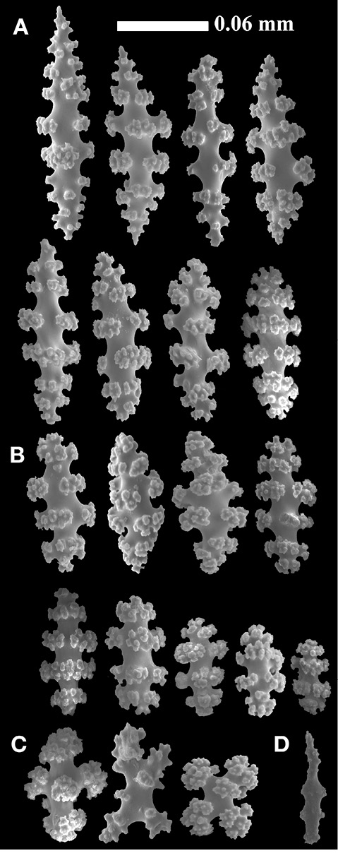 sm4392fig22.jpg