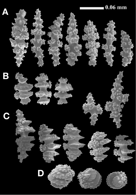 sm4392fig24.jpg