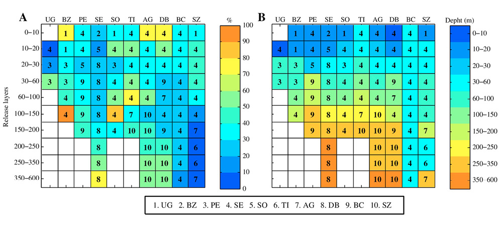 sm4370fig13.jpg