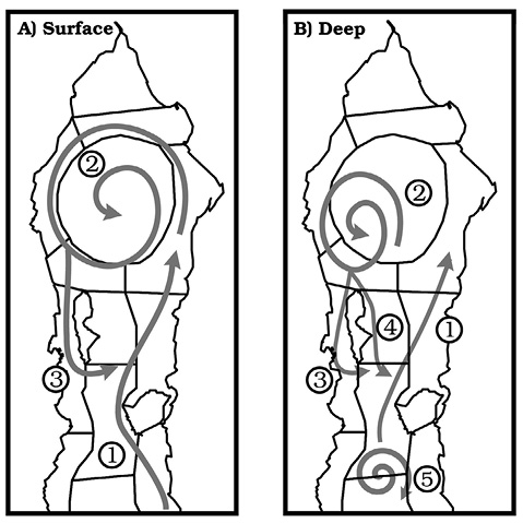 sm4370fig14.jpg
