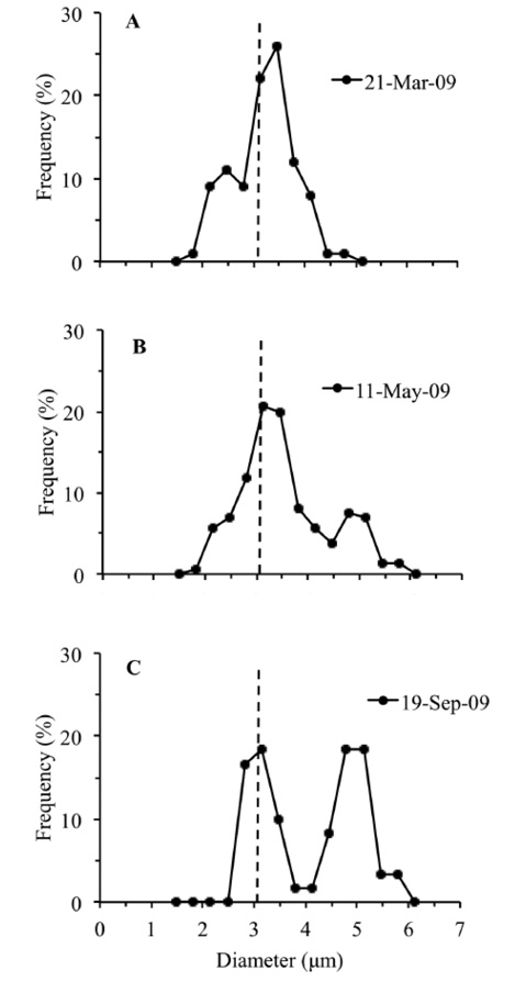 sm4331fig5.jpg