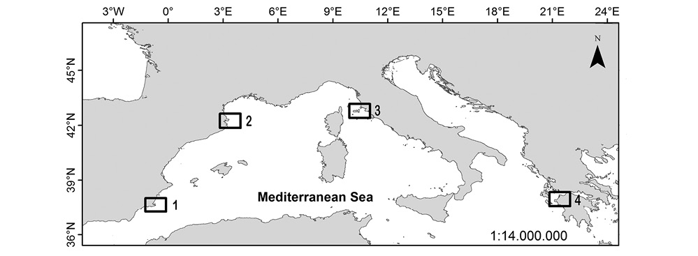sm4281fig1.jpg