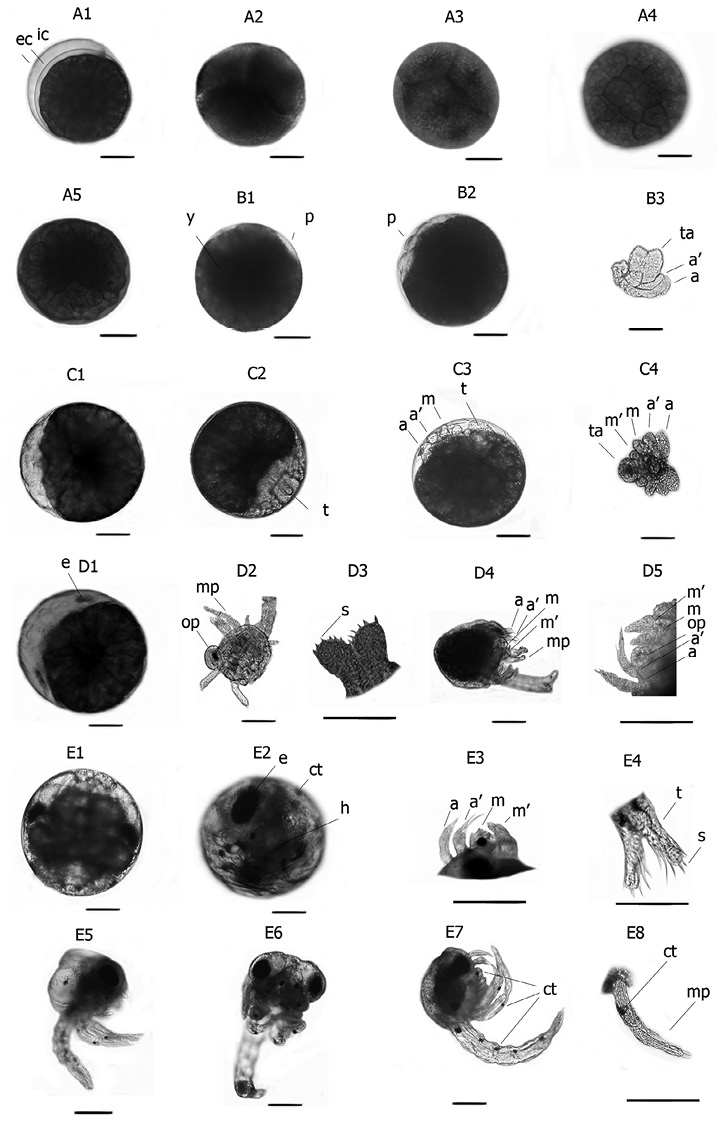 sm4404fig1.jpg