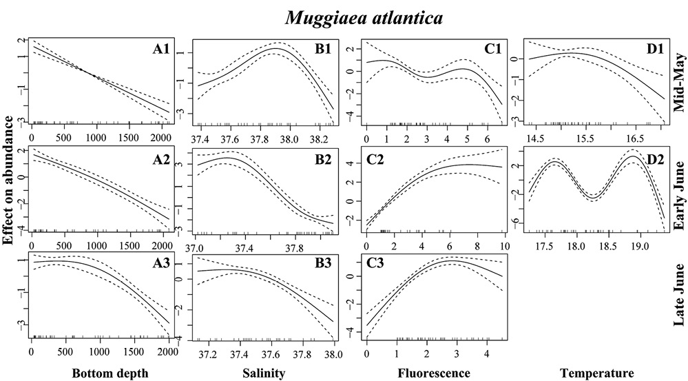 sm4452fig4.jpg