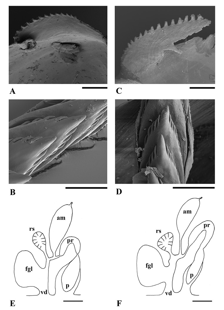 sm4479fig3.jpg