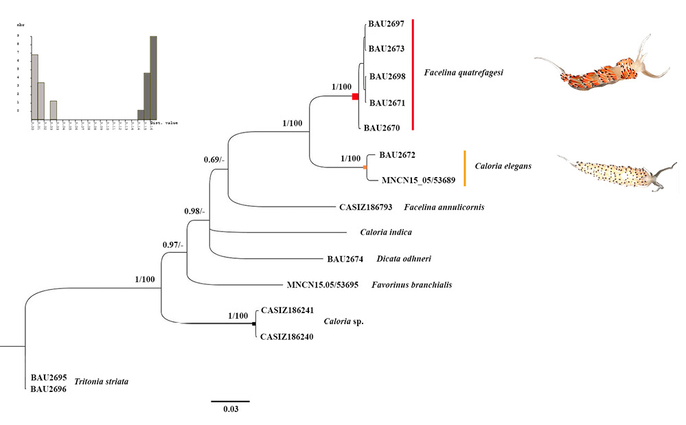 sm4479fig5.jpg