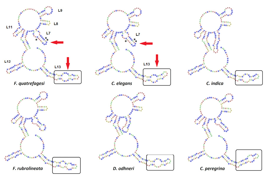 sm4479fig6.jpg