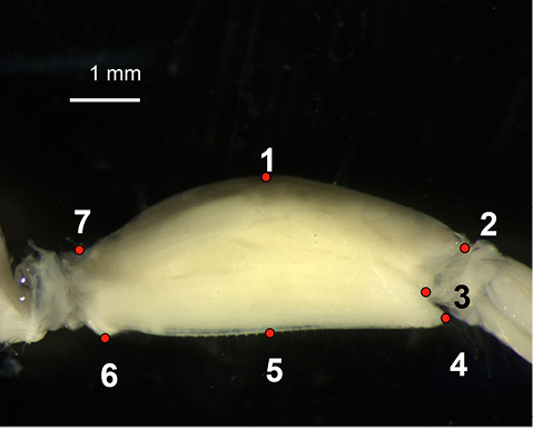 sm4378fig1.jpg