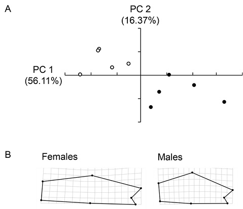 sm4378fig4.jpg