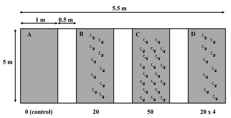 sm4482fig3.jpg