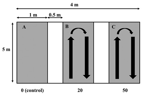 sm4482fig4.jpg