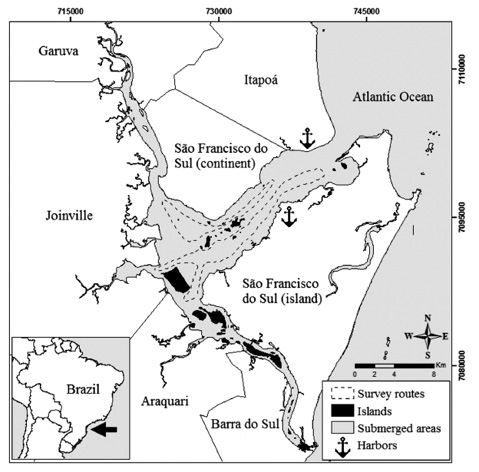 sm4495fig1.jpg