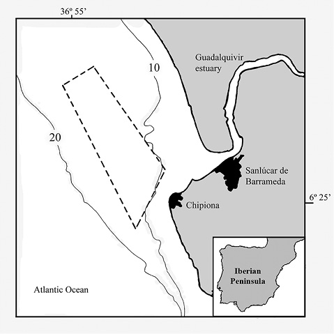 sm4494fig2.jpg