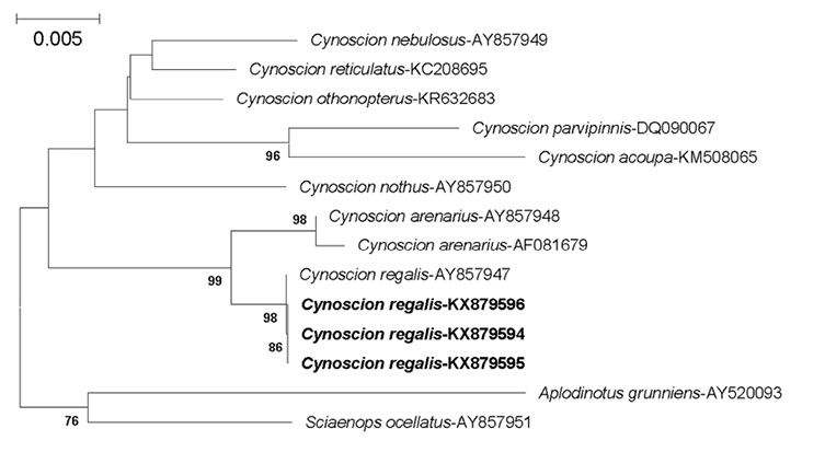 sm4494fig3.jpg