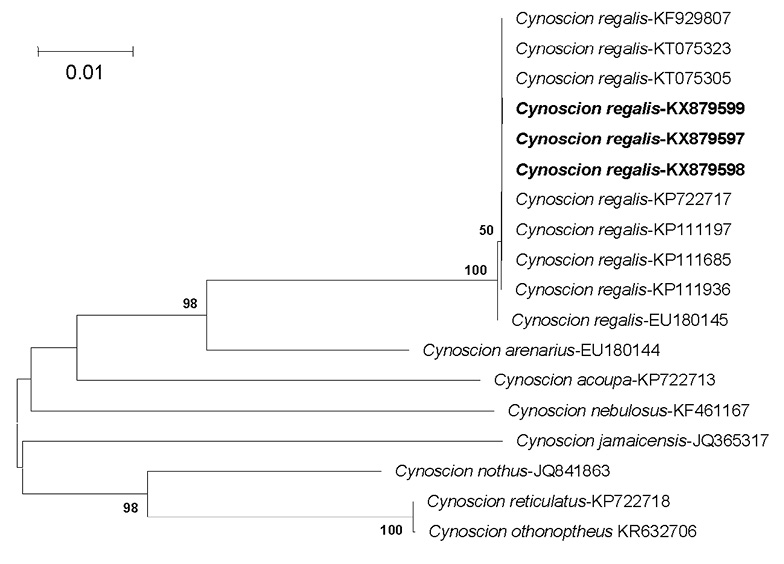 sm4494fig4.jpg