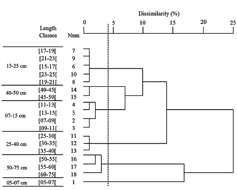 sm4356fig3.jpg