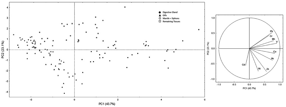 sm4595fig3.jpg