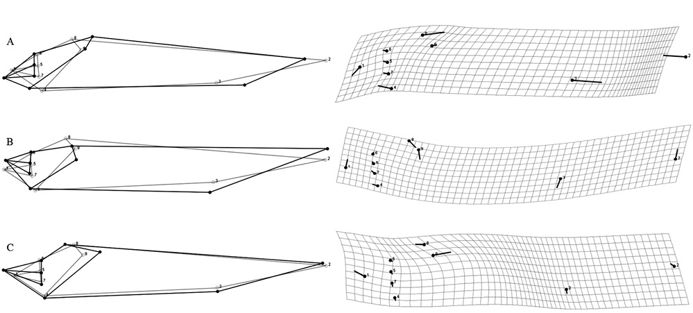 sm4555fig3.jpg