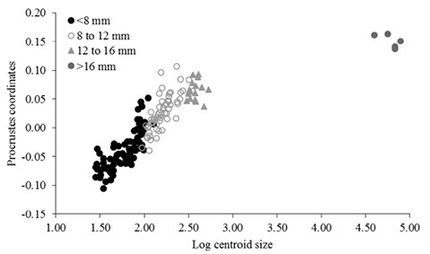 sm4555fig4.jpg