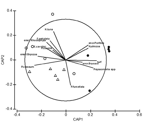 sm4565fig2.jpg