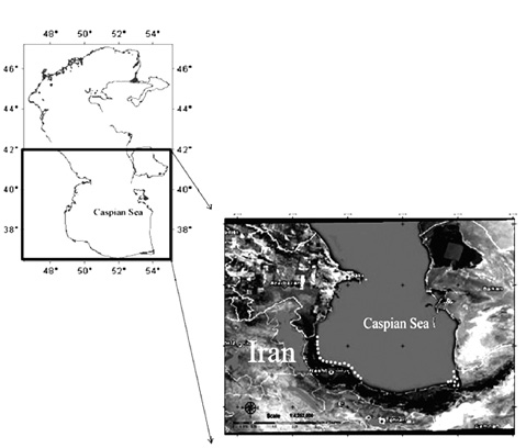 sm4487fig1.jpg