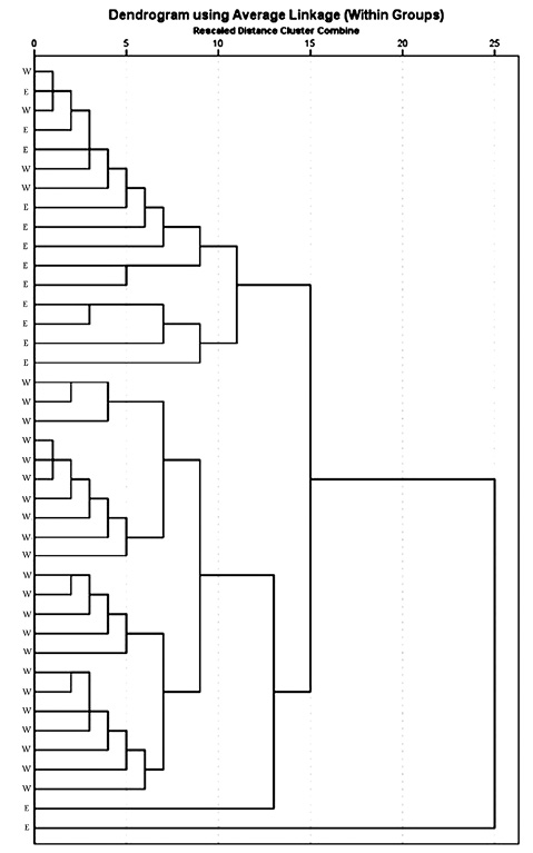 sm4487fig4.jpg