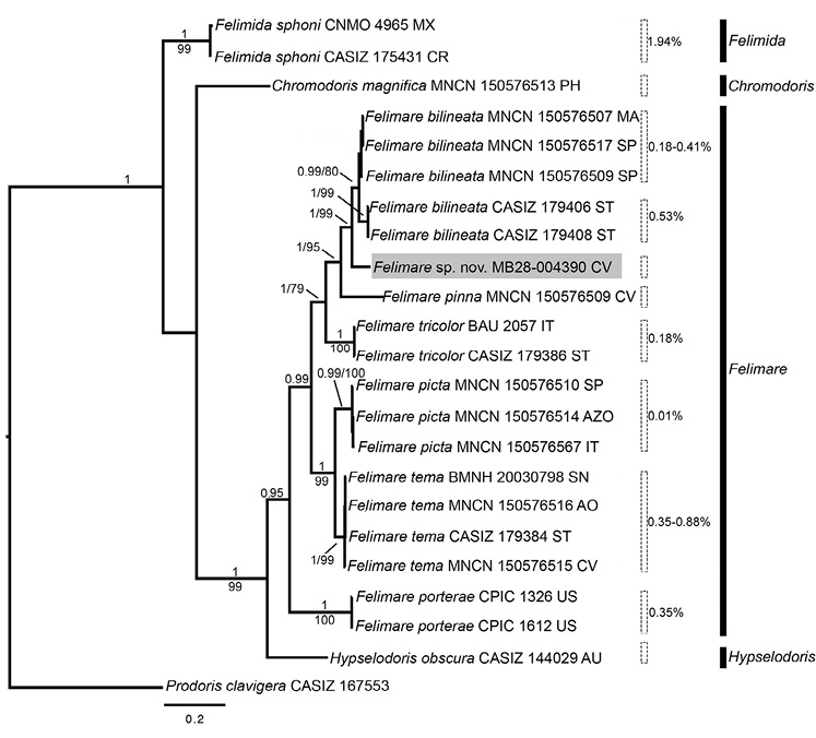 sm4594fig1.jpg