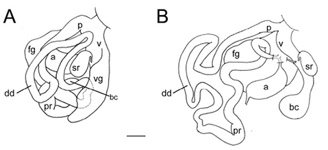 sm4594fig4.jpg