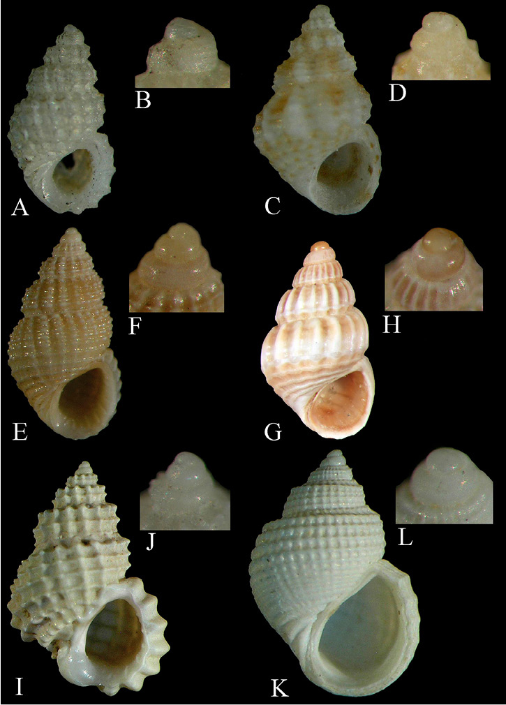 sm4556fig2.jpg