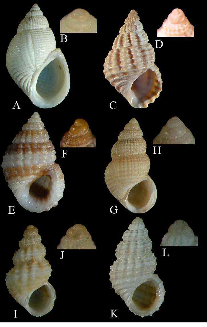 sm4556fig5.jpg