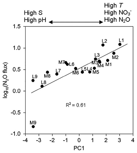 sm4637fig7.jpg
