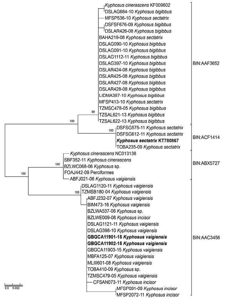 sm4601fig2.jpg