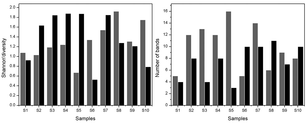 sm4106fig4.jpg